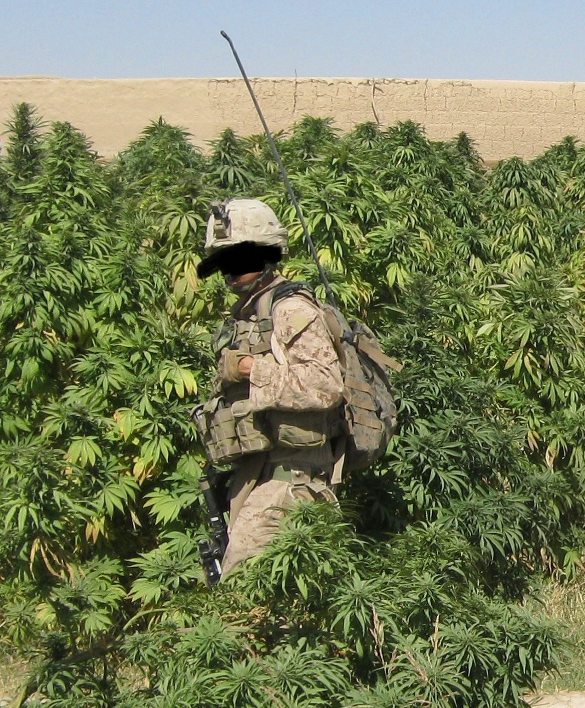 Helmand Valley, Afghanistan 2010